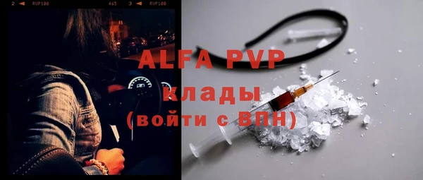 стаф Алексин