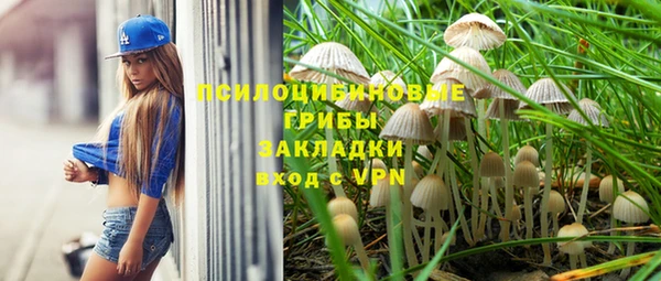 стаф Алексин