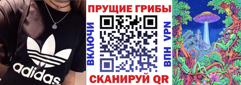 Псилоцибиновые грибы Cubensis  Алатырь 