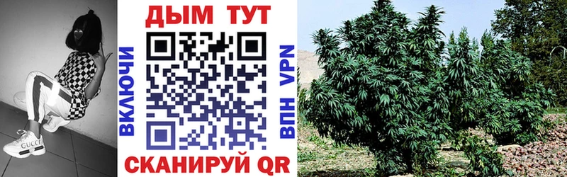 купить наркотик  shop телеграм  Бошки марихуана индика  Алатырь 